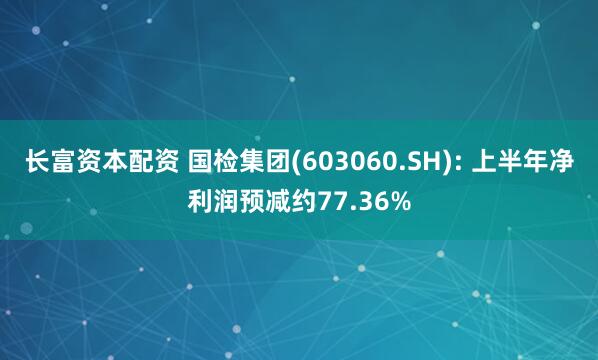 长富资本配资 国检集团(603060.SH): 上半年净利润预减约77.36%